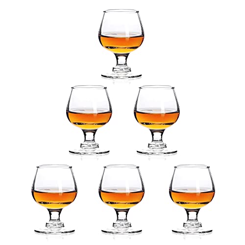 Shot Glasses, 1.75oz Mini Shot Glass Set of 6/Clear Shot Glasses/Super Cute Shot Glasses/Perfect for Tasting Brandy/Glass Snifters