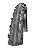 Schwalbe