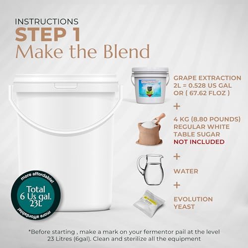 BestwineAmerica Miracle Grape Extraction – 0.5 U.S. gal Kit Makes 6 U.S. gal of Wine - (30x750ml) (White style Pinot Grigio)