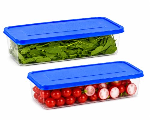 Image of Fridge Storage Containers Set of 2 (1500 ML Each) with LID, Stackable Fridge Storage Boxes for Fruits & Vegetables, BPA Free Kitchen Storage Containers for Fridge