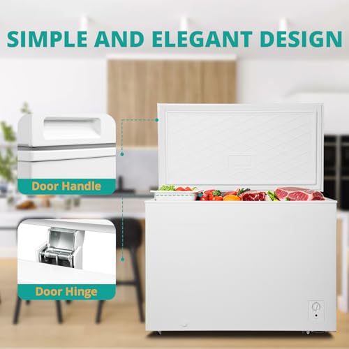 Walk-in freezer cold storage large