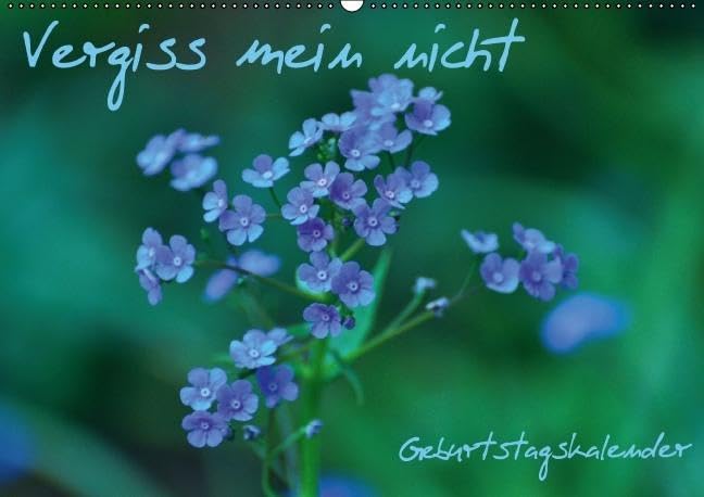 Vergiss mein nicht Geburtstagskalender (Wandkalender immerwährend DIN A2 quer): Immerwährender Terminkalender mit bildschönen Blumenmotive und ... ... Lebensweisheiten (Monatskalender, 14 Seiten)