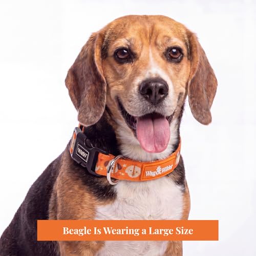 Image of Wag and Wilder Heavy Duty Dog Collar and 5 FT Leash Set for Medium Dogs - Quick Release Buckle, Neoprene Padded Handle & Strong Metal Hook (Puppy Parade Orange)
