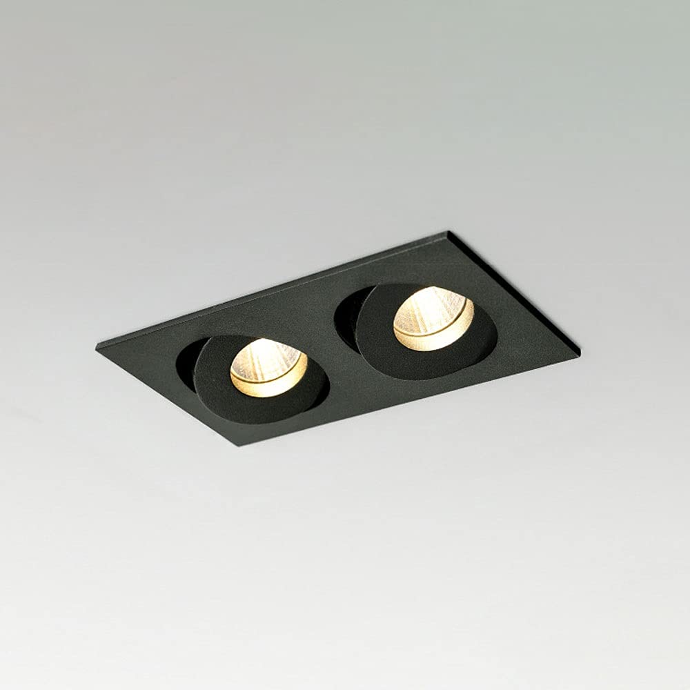 ITOSUI LED Recessed Lighting Ceiling Spotlight Accent Lamp, 2-Light Adjustable Indoor Ceiling Downlight, Modern Ceiling Spots Accent Lights for Living Room Corridor Bedroom (Color : Black-4000K)