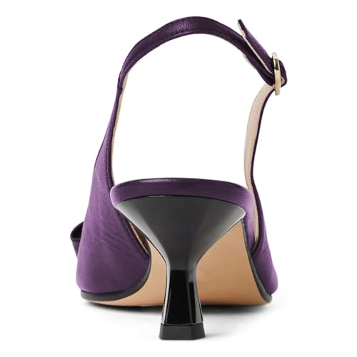 Pazzion Women Closed Pointy Toe Mid Heel Slingback Pumps Buckles Slip On Kitten Heels Strappy Sandals Casual Working Shopping Shoes Size 4-16 US3