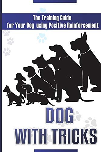 Dog With Tricks: Positive Reinforcement Guide