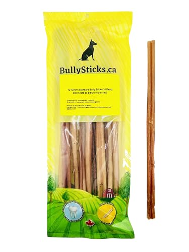 ODOURFREE 12" Standard Bully Sticks for Dogs (10 Pack) Dental Chew - Rawhide Free - Supports Dental Hygiene - Single Beef Ingredient - No additives - Consistent Size - Canadian Com image 6