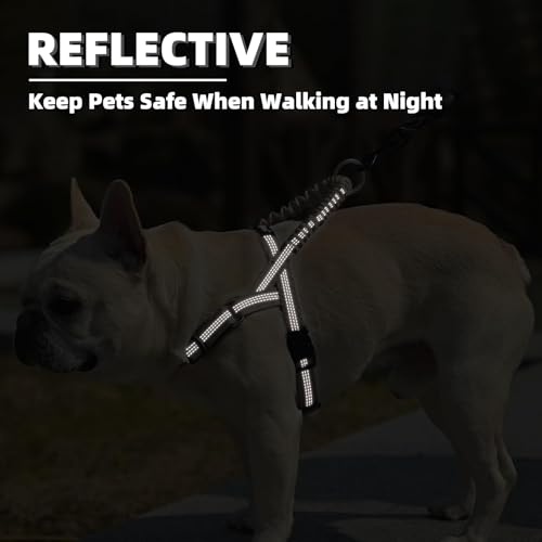 Image of PUPTECK No Pull Dog Harness Small Sized Dog, Adjustable Reflective Pet Vest Harness with Bungee Handle, Escape Proof No Choke Harness for Small Dogs Walking Training, Beige S