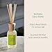 Archipelago Botanicals Arugula Reed Diffuser, Home Fragrance Reed Diffuser, Includes Fragrance Oil, Decorative Wooden Cap & 10 Diffuser Reeds, Perfect for Home, Office or Gift, 7.85 fl oz