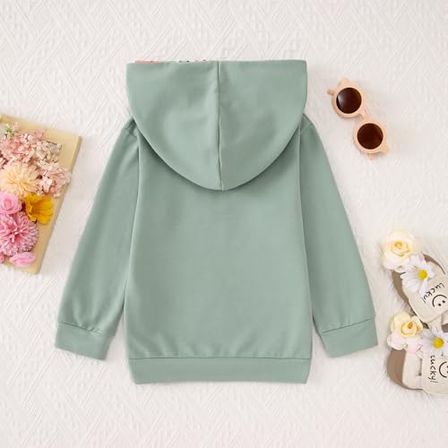 Big Sister Outfit Toddler Baby Girl Big Sis Hoodie Sweatshirt Floral Pants 2PC Sets Kids Cute Fall Winter Clothes3