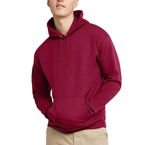 Hanes mens Pullover Ecosmart Hooded Sweatshirt P170 Hoody