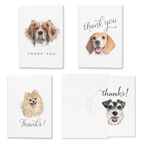 Image of Hortense B. Hewitt All Occasion Blank Thank You Note Cards