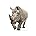 White Rhinoceros
