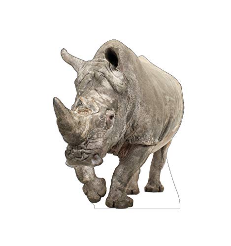 Cardboard People White Rhinoceros Life Size Cardboard Cutout Standup