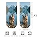 VstaDank Yorkshire Terrier by Lake Ankle Socks 5 Pairs Fashion Invisible Low Cut Sock for Adult Casual Short Sock Soft Cozy No Show Socks