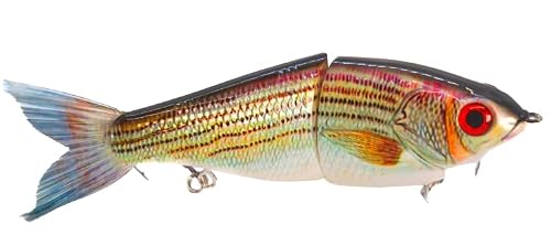 7" Pedigree Glider Glide Bait Swimbait Musky Striper Bass Fishing Lure Big Multi Jointed Shad Trout Slow Sinking (7" Pedigree Glider - Striped Bass) #TOP2