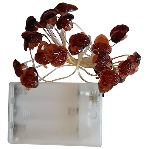 DIKACA LED Acorn Fall String Luz De Luz Autumn Light String Twinkle Fairy Light (30 Cuentas Led)