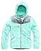 The North Face Girls' OSO Hoodie (Little Big Kids)
