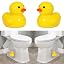 Yellow Duck