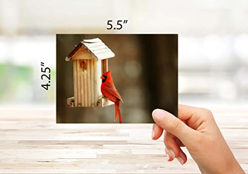 Image of Small World Greetings Single Cardinal Note Cards 12 Count - Blank Inside with White Envelopes - A2 Size 5.5 inch x 4.25 inch - All Occasions - Bird Stationery - Birthday, Thank You, and More
