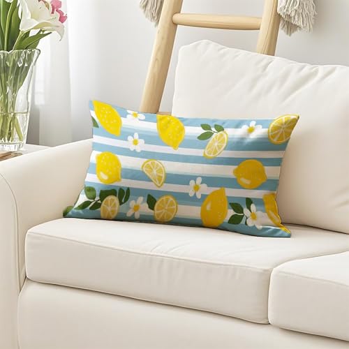 Coussin décoratif haut de gamme 40x80 imperméable imprimé citron double face - 3