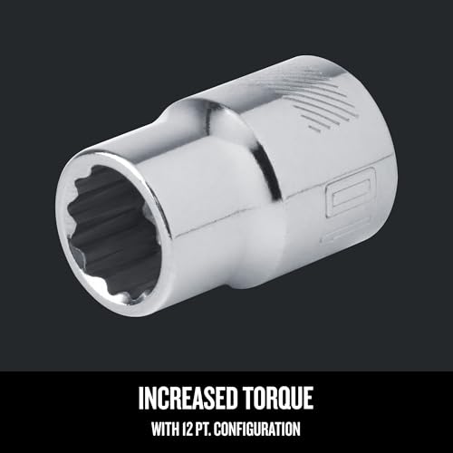 Image of CRAFTSMAN 3 /8 Drive Metric 12 Point Standard Socket (CMMT44302)