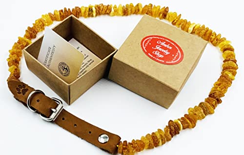 Bernsteinkette für Hund - Bernsteinhalsband für Hund - Natürliche Baltische Bernsteinperlen (40-45)