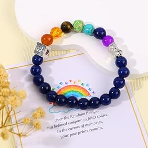 Pet dog memorial gifts for loss of dog sympathy gift rainbow bridge bracelet cat memorial bracelet for women men dog remembrance gift bereavement gifts for loss of pet brownblueblack blue   cucciolini doodles