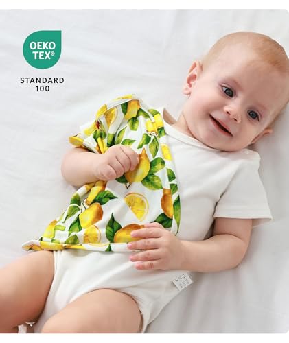 Image of Baby Lovey Security Blanket Set of 3, Bamboo-Derived Viscose, Super Soft and Breathable Baby Blanket with Attachable Loop, 9.5 inch*9.5 inch, Dinosaur /Lemon /Festivals