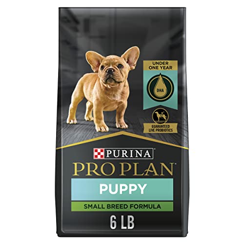 Purina-Pro-Plan-High-Protein-Small-Breed-Puppy-Food-DHA-Chicken-Rice-Formula-6-lb-Bag Purina Pro Plan High Protein Small Breed Puppy Food DHA Chicken Rice Formula 6 lb Bag