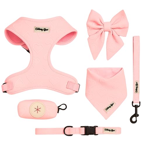 Daizzy Gear Dog Harness Set – Small No Pull Harness with Matching Leash, Collar, Bandana, Sailor Bow & Poop Bag Holder – Embroidered Pink Hearts Jacquard – Adjustable, Soft & Stylish