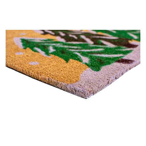 Calloway Mills 122252436 Winter Wonderland Doormat, 24\" x 36\", Multicolor