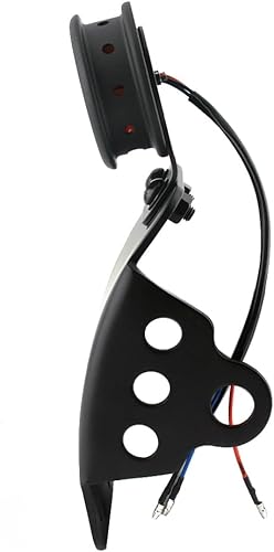 Miniatura 4 de Motocicleta 0.748 in (34") Montaje lateral trasero Luz trasera Soporte de matrícula integrado para Harley Sportsters Bobber Chopper