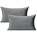 VAKADO Housse de Coussin en Velours Super Doux Rectangulaire Décoratif Taie d’Oreiller pour Chambre Salon Canapé Lit Chaise Voiture 30x50cm Lot de 2,Gris