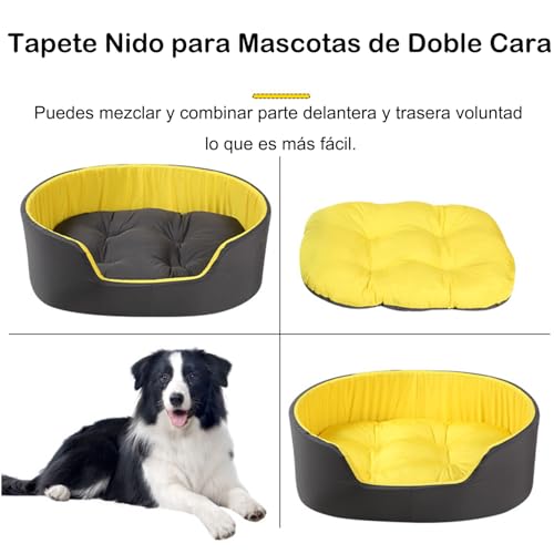 Review de Camas para perros soriana - solo los mejores. 9 Imagen adicional