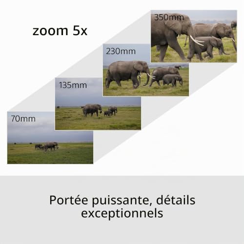 Sony Alpha 6700 Kit Wildlife (APS-C) 16-50 II & 70-350 mm