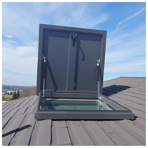 Puerta de acero galvanizado y tapa de salida de sótano transitable 2