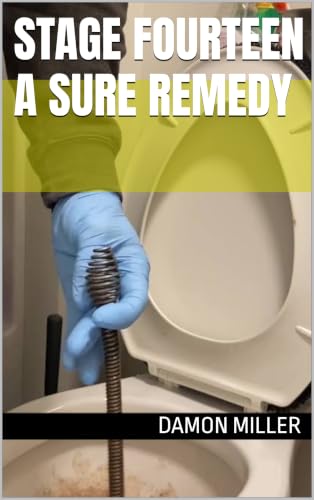 Stage Fourteen A Sure Remedy (An Allegorical Satire of the Times Book 14)