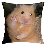 Opaseiro Throw Pillow Case Hamster Peace Sign Mem Cushion Home Pillowcase Living Room Soft Square Cover for Decor Bedroom Couch 18 X 18 Inch