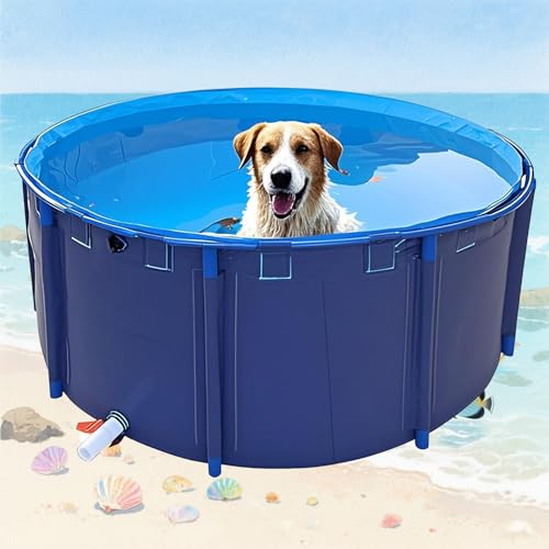 Pounjsd ^ t[v[ {Br 1.8m _J ŒrX^ht 3000L كv[ RȂ {r J^N r Csv ܂肽 ~`  lHr p qp  c  W ~`LoX