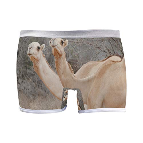 MONTOJ Dumb - Calzoncillos tipo bóxer para mujer, diseño de camello africano 1 Medium