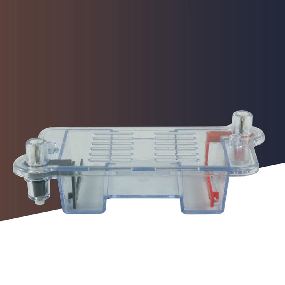 XIAOJUN Tanque de Electroforesis Horizontal para Educación y Biología