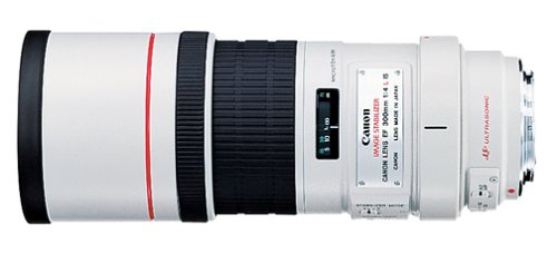 Canon EF 300mm f/4L IS USM Telephoto Fixed Lens for Canon SLR Cameras (Renewed)
