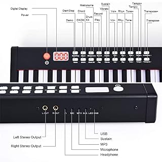 Piano à clavier à 88 touches Piano électrique portable Touches semi-lestées Prise en charge du piano numérique Connexion MIDI Bluetooth Comprend une pédale de maintien, un sac de transport Idéal for l - Les Beatles, Paul McCartney, John Lennon, RIngo Starr, George Harrison Piano à clavier à 88 touches Piano électrique portable Touches semi-lestées Prise en charge du piano numérique Connexion MIDI Bluetooth Comprend une pédale de maintien, un sac de transport Idéal for l – Image 5