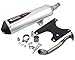 Produktbild Auspuffanlage TECNIGAS Maxi 4Scoot für Kymco Like,People,Super8 125 MAXISCOOTER