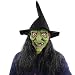 Halloween Witch Mask with Hair, Horrific Demon Adult Scary Witch Mask Halloween Party Costume Decorations Creepy Latex Mask (Witch)