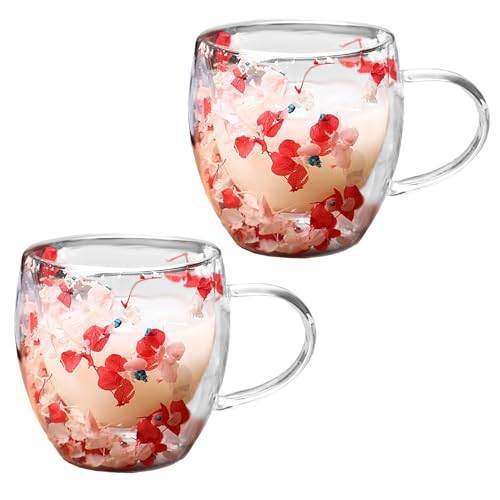 2Pcs Double Wall Glass Coffee Mugs, Dried Flowers Double Wall Glass Coffee Mug, Aesthetic Dried Flowers Cups with Handles for Cappuccino Tea Latte Juice(#1)