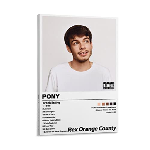 Poster sur toile Rex Orange County PONY 4 décoration murale chambre ado 30 x 45 cm