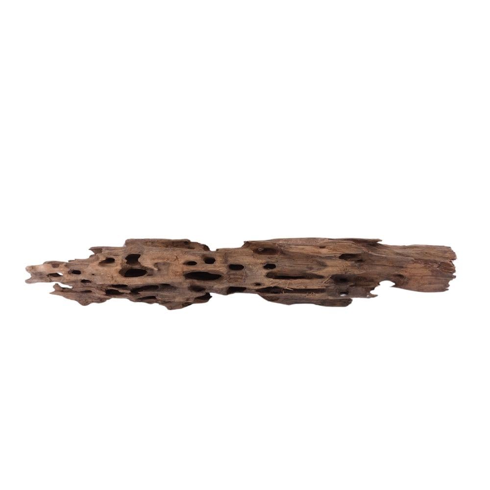 XL Honey Comb Raíz nº 1946 Acuario Raíz Mangrove Madera Decoración Paisaje Musgo Naturaleza Madera Auténtica