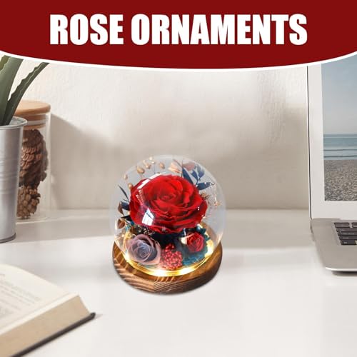 Preserved Rose, Forever Flowers In Glass Globe, Decorative Tabletop Centerpieces, Artificial Flowers Souvenir, Mother's Day Flower Gift, Girlfriend Gift Flower, Women's Day Preserved Rose, Valentine's - Afbeelding 4